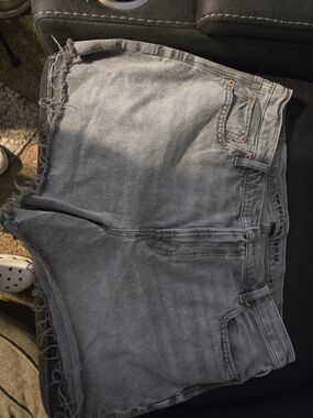 American Eagle Outfitters Gray Frayed Hem Denim Shorts